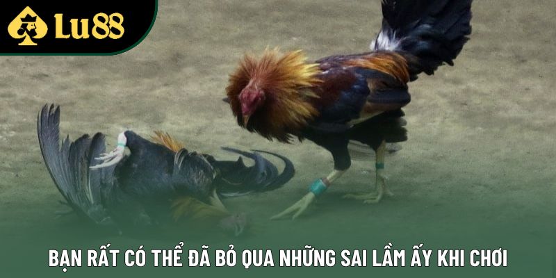 Bạn rất có thể đã bỏ qua những sai lầm ấy khi chơi