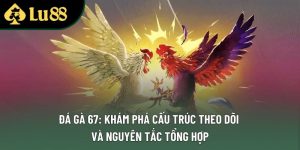 Đá Gà 67: Khám Phá Cấu Trúc Theo Dõi Và Nguyên Tắc Tổng Hợp