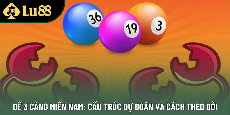 Đề 3 Càng Miền Nam: Cấu Trúc Dự Đoán Và Cách Theo Dõi