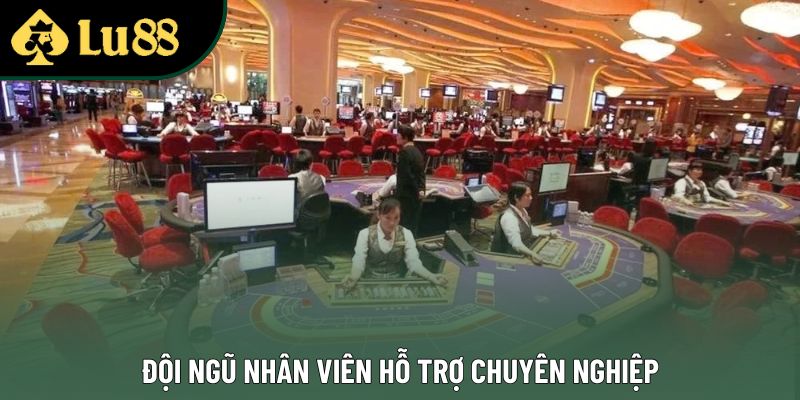 Đội ngũ nhân viên hỗ trợ chuyên nghiệp