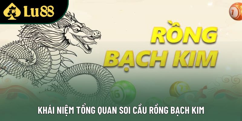 Khái niệm tổng quan soi cầu rồng bạch kim Khái niệm tổng quan soi cầu rồng bạch kim