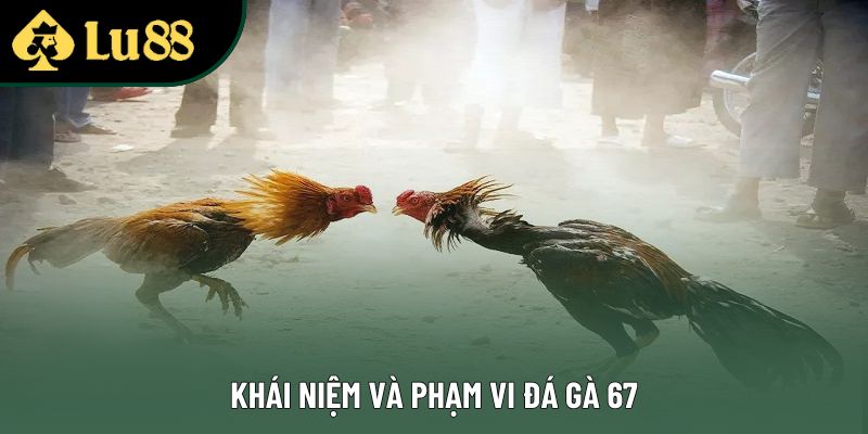 Khái niệm và phạm vi đá gà 67 Khái niệm và phạm vi đá gà 67