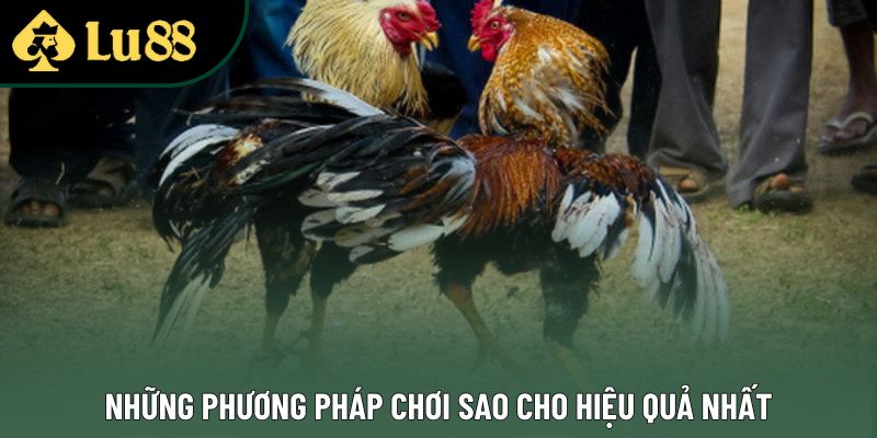Những phương pháp chơi sao cho hiệu quả nhất