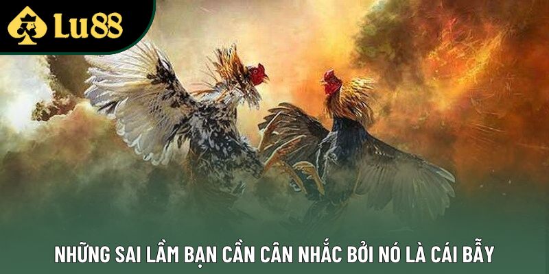 Những sai lầm bạn cần cân nhắc bởi nó là cái bẫy