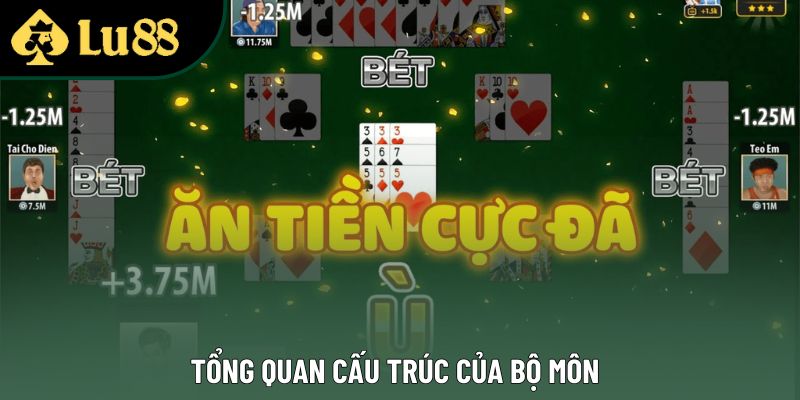 Tổng quan cấu trúc của bộ môn